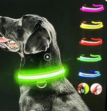 Hundehalsband Hund Zubehör LED Leuchte wiederaufladbar