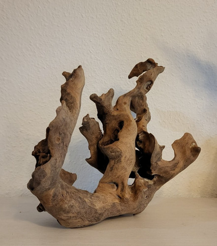 Mangrovenholz wurzel aquarium - mangrovenholz,