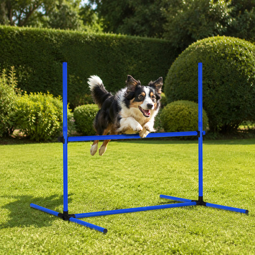 Hürdenset agility training - hürdenset,