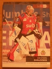 DEL 2024/25 Fischtown Pinguins Team Set Hauptserie Komplett 25 Karten !!!
