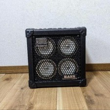 Roland MICRO CUBE BASS RX