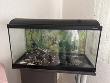 Aquarium rechteck Becken Glasaquarium Terrarium
