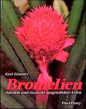 Bromelien. Botanik und Anzucht