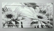 Wandbild Sonnenblumen-Blüten s/w 120x60 cm