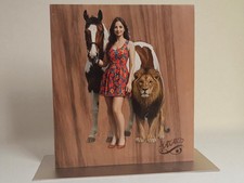 Magnetisch Messerhalter