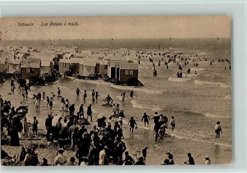 12054202 ostende - -,