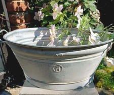 Alte rarität seltene - alte,