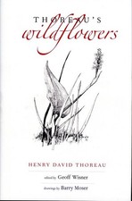 Thoreau's Wildflowers
