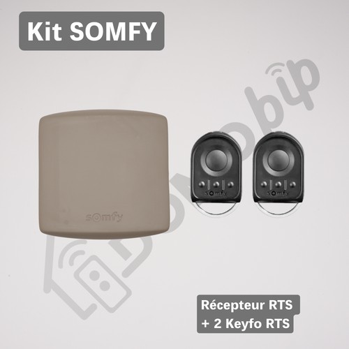 Somfy rts kit keygo - kit, +