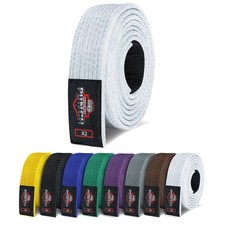 Brazilian Jiu Jitsu BJJ Belt
