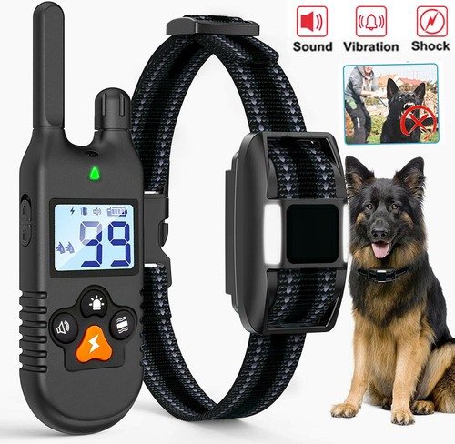 1000m elektroschock pet dog - pet,