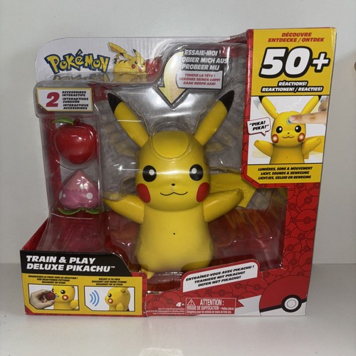 Pokémon pikachu train and - pokémon,