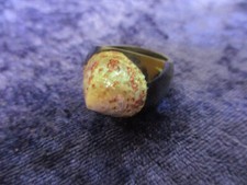 x-23828	Ring Ebenholz mit Muscheleinlage Innendurchmesser: ca. 19,25mm
