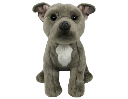 Staffordshire bullterrier - staffordshire,