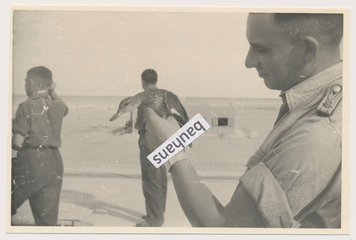 Foto dak deutsche - foto,