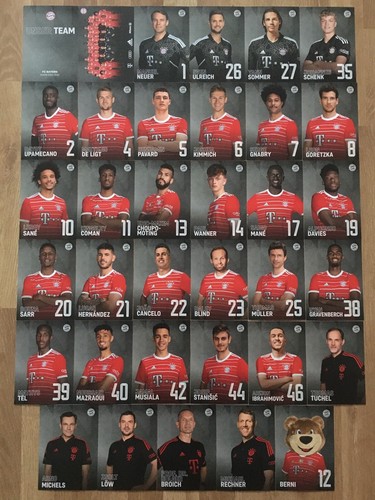 Autogrammkarten fc bayern - 35,