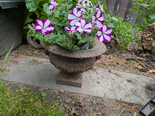 Vintage pflanzschale amphore - /,