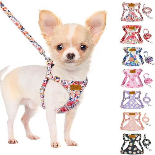 Hundegeschirr mit leine - mit,