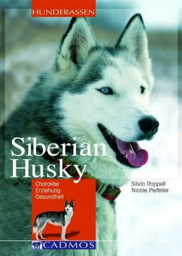 Siberian husky charakter - charakter,