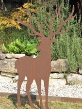 Edelrost Hirsch mit großem