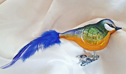 Blaumeise glas vogel meise - glas,
