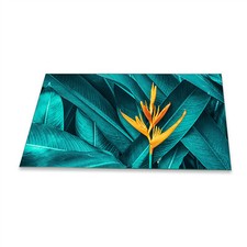 Herdabdeckplatten Ceranfeld