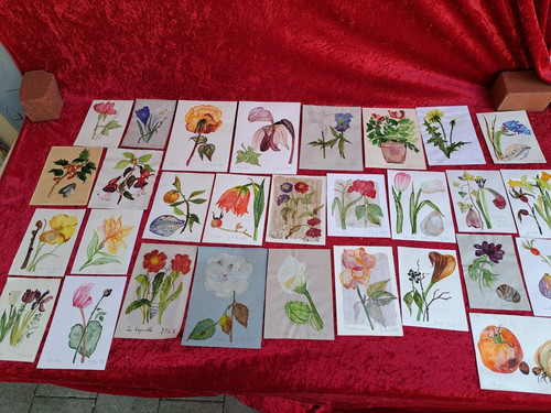 Schöne bilder - schöne,