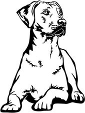 Rhodesian ridgeback aufkleber - ridgeback,