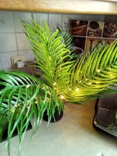 Kunstpalme leuchtend