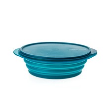 Tupperware Mini-Max