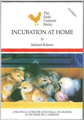 Incubation home new - incubation, at