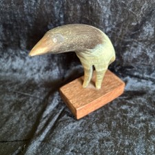 Wunderschöner Vogel auf