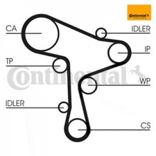 Water Pump + Timing Belt Kit