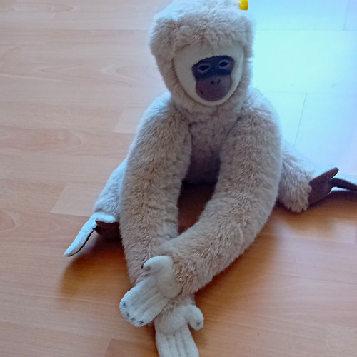 Steiff gibbon affe in - affe,