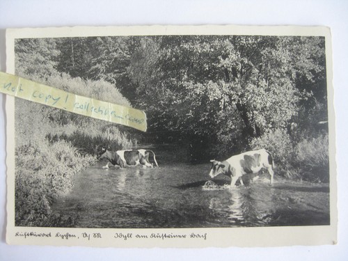 Alte postkarte lychen - postkarte,