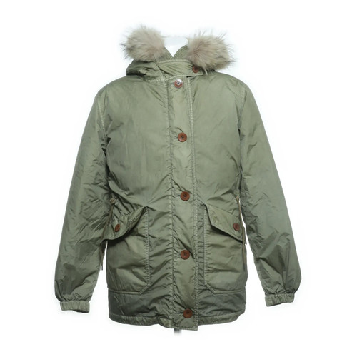 Closed daunenjacke herren - closed,, daunenjacke,