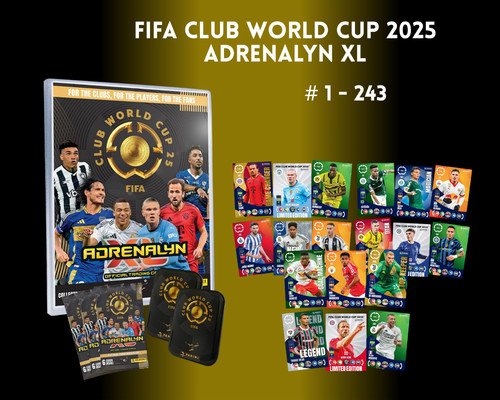 Panini fifa club - fifa, world