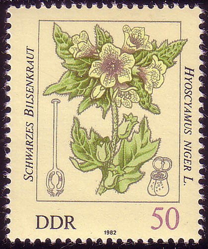 2696 giftpflanzen pf - 50,