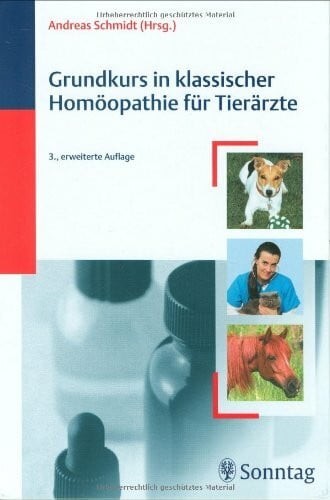 Grundkurs klassischer - in,
