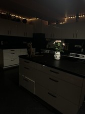 einbauküche mit kochinsel