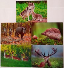 3 D Ansichtskarte Waldtiere Postkarte Wackelkarte Hologrammkarte Waldtier Hirsch