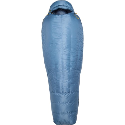 Marmot hibernest - marmot,