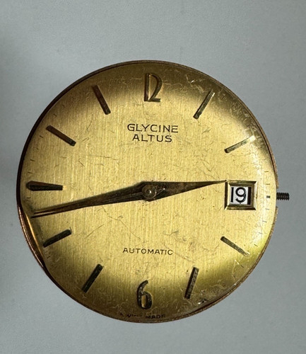 Glycine altus herrenuhr - altus,