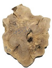 2x Oliven Wurzelholz Holz für