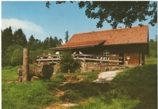 Wildbad schwarzwald - ak,