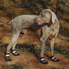 4x SGSPET Outdoor Anti-Rutsch