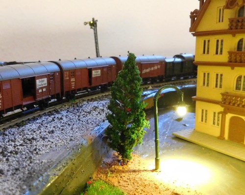Dunkelgrüne tannen - 50,