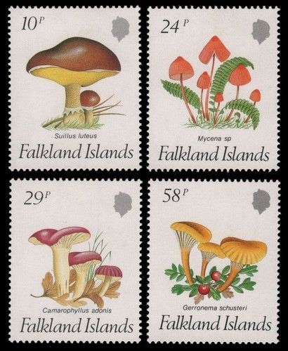 Falkland 1987 468 471 - falkland, 468-471