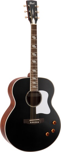 Retro jumbo westerngitarre - jumbo,