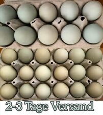 TOP ANGEBOT: 6 frische